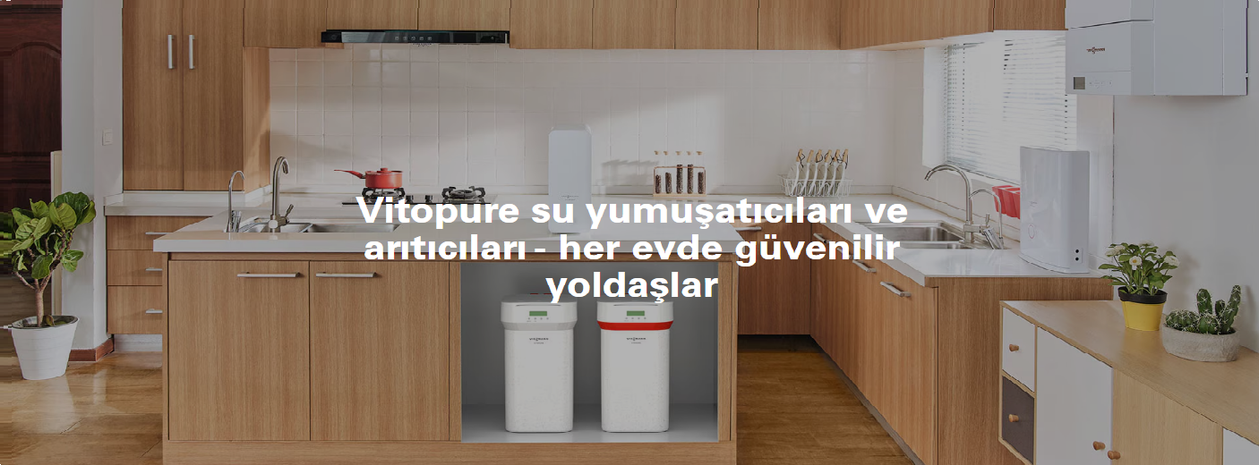 Bayraklı Viessmann Kombi Servisi